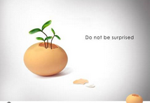 最严食品安全法10月1日实施 淘宝零食卖家即将洗牌 